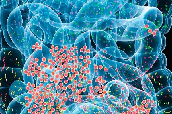 los expertos apuestan por descifrar el potencial cientfico y teraputico del microbioma los expertos apuestan por descifrar el potencial cientfico y teraputico del microbioma