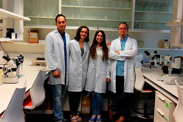un estudio logra que los glbulos blancos alivien el dolor durante la inflamacin de los tejidos en ratones un estudio logra que los glbulos blancos alivien el dolor durante la inflamacin de los tejidos en ratones