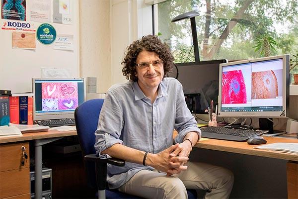 relacionan el uso de nuevos frmacos contra el cncer a diversos problemas cardiovasculares relacionan el uso de nuevos frmacos contra el cncer a diversos problemas cardiovasculares