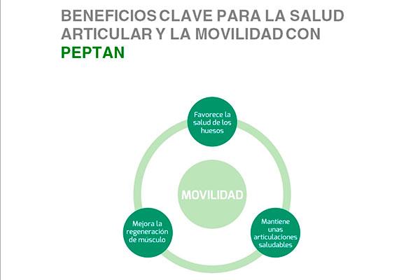 peptan los pptidos de colgeno para un estilo de vida saludable peptan los pptidos de colgeno para un estilo de vida saludable