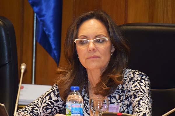 el-consejo-general-d