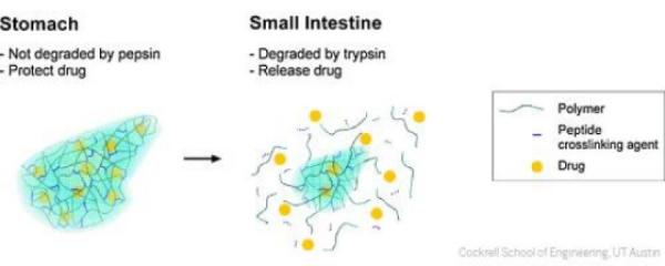desarrollan el primer comprimido en una sola caacutepsula para tratar la hemofilia desarrollan el primer comprimido en una sola caacutepsula para tratar la hemofilia