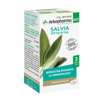 salvia-disminuye-la-sudoracion-y-alivia-los-sofocos-de-la-menopausia